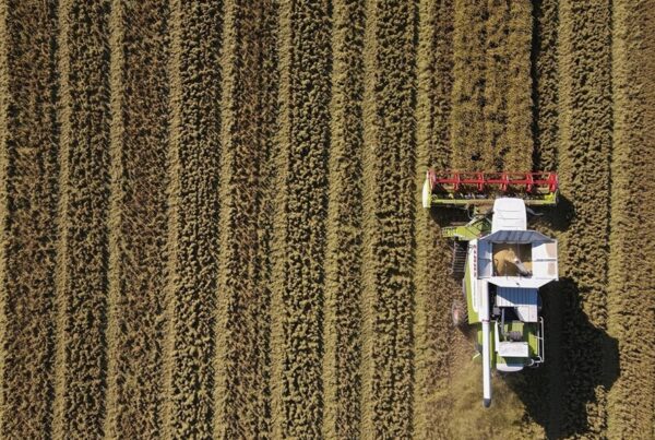 Sustainability at the Core of the "EUROPEAN RICE" Campaign