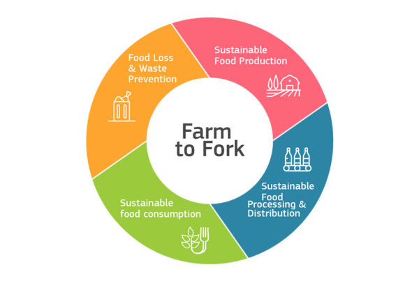 EU Rice from farm to fork