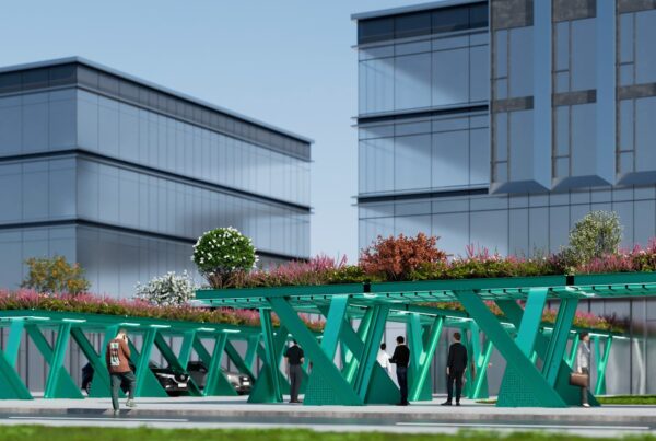 A Romanian Company Develops a Solution to Reduce Extreme Urban Temperatures