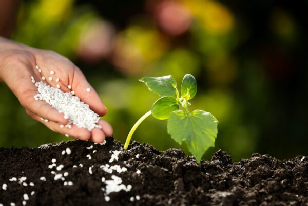 GAIA BioMaterials Secures European Patent for PLA-Free Film Extrusion Materials