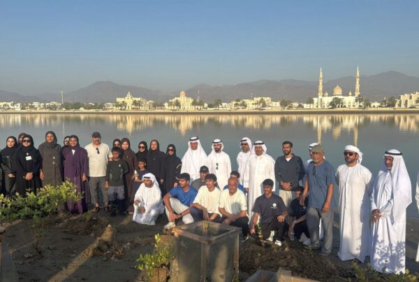 Sharjah Maritime Academy and EPAA Launch Research-Based Mangrove Planting Initiative in Kalba